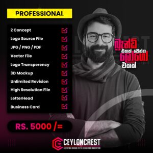 Professional Logo Design Package