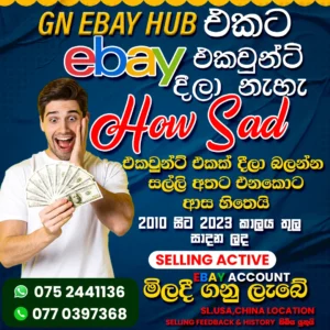 gn ebay hub
